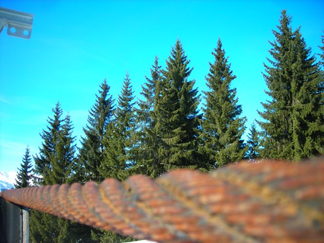 500_115.jpg