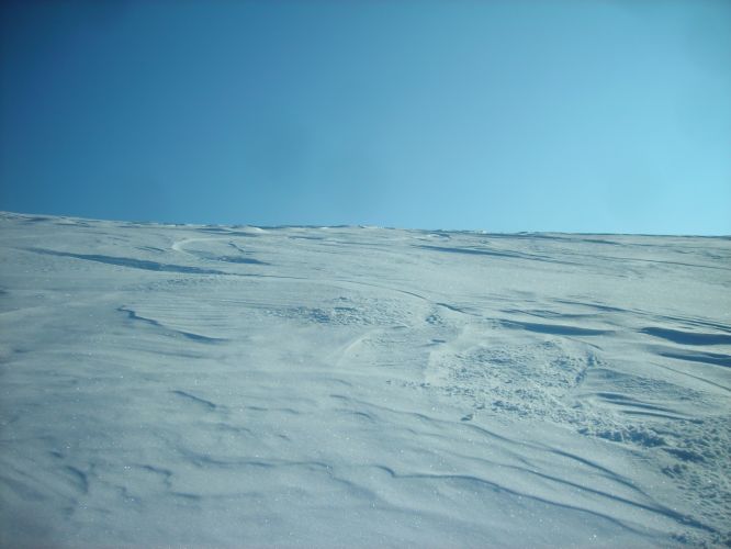 500_58.jpg