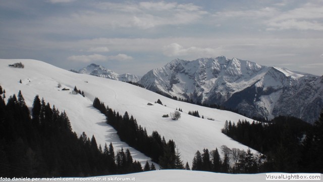 pztuni7-0064.jpg