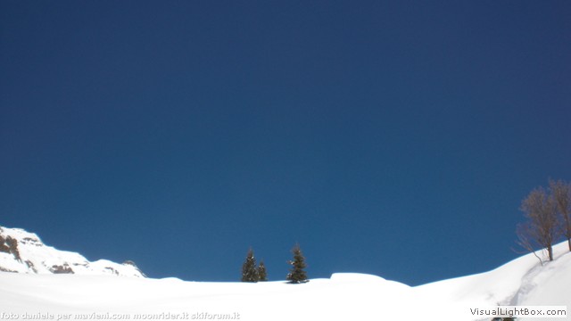 20100313_104739_cimg5538.jpg