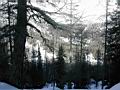 030112133909_5280.JPG