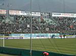 040328155524_19262.JPG