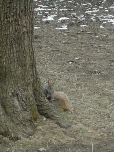 050306193525_31382.JPG