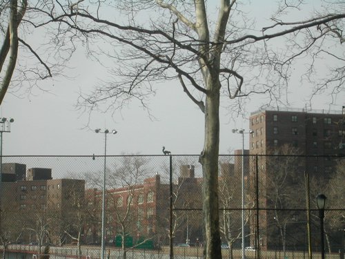 050399000000_03211.JPG