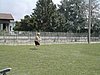 050731135818_37282.JPG