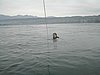 060527091837_45729.JPG