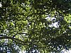 060601082411_45973.JPG
