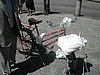 060601121933_46084.JPG