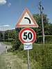 060601132756_46174.JPG