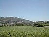 060601132911_46175.JPG